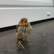 HB = 0,5,-6 FN=0 lidx=275.00   FM0   FC010010010